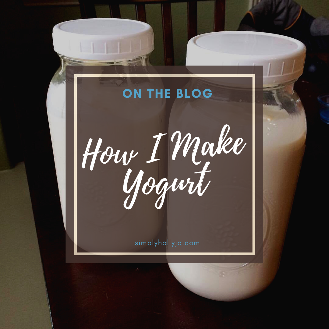Homemade Yogurt | My Go-To Recipes